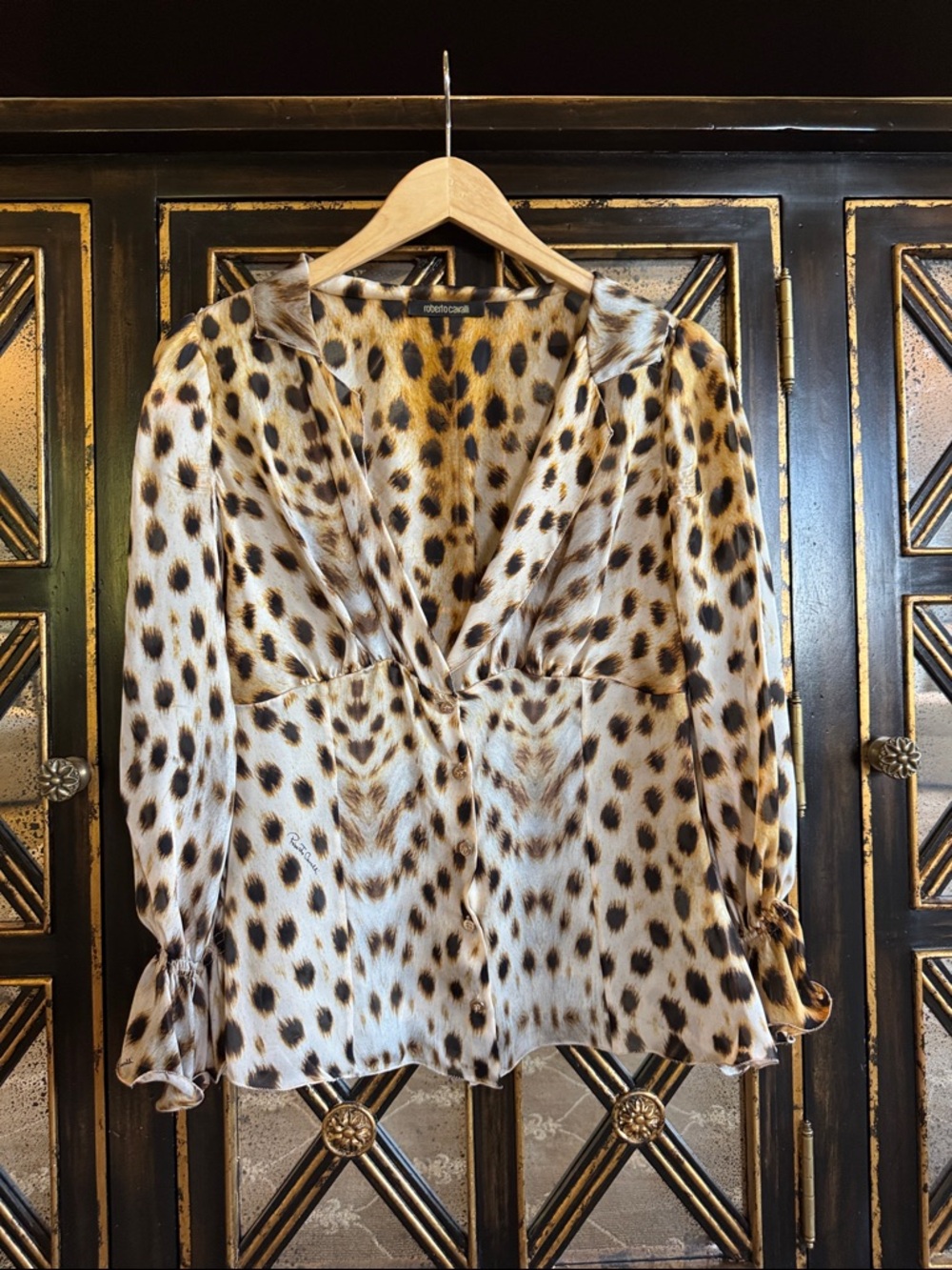 Roberto Cavalli Leopard-Print V-Neck Blouse in Brown and Black